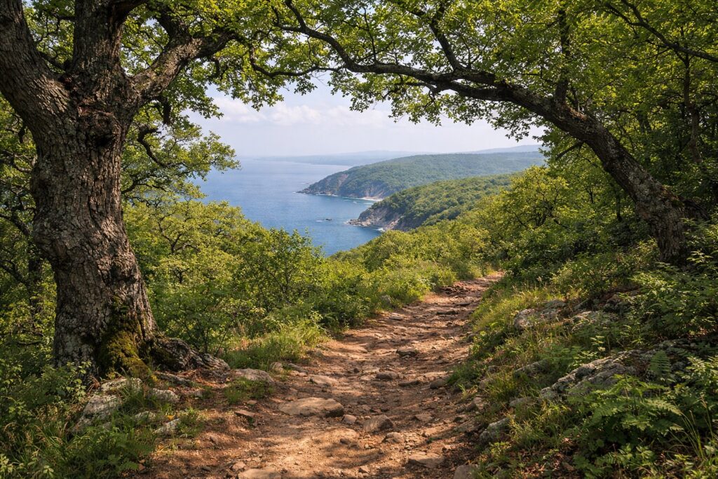 Wanderweg durch Eichenwald im Strandscha-Naturpark oberhalb der Küste
